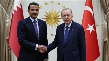 Cumhurbaşkanı Erdoğan, Katar Emiri Al Sani ile telefonda görüştü