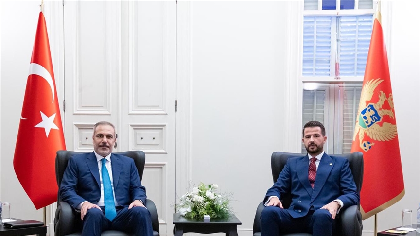 Turkish foreign minister meets with Montenegro's president