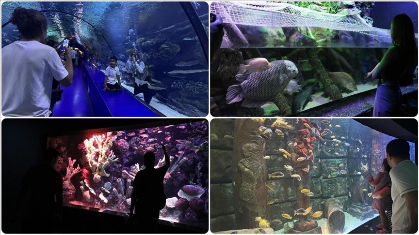 آکواریوم آنتالیا: جاذبهای جهانی با 28 هزار موجود آبزی