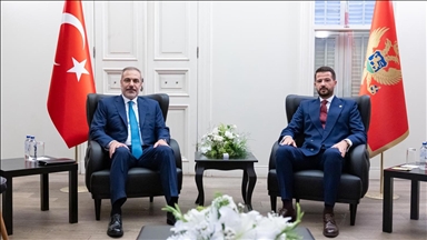 فيدان يلتقي رئيس الجبل الأسود في إسطنبول