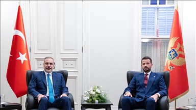 Turkish foreign minister meets with Montenegro's president
