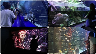 آکواریوم آنتالیا: جاذبهای جهانی با 28 هزار موجود آبزی