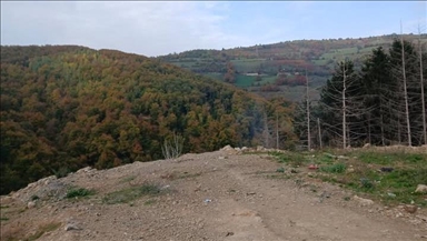Počelo pretraživanje terena u blizini Novog Pazara zbog sumnji na masovnu grobnicu