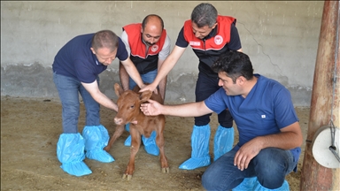 Li Mûşê jimara dewaran bi piştgiriya dewletê zêde dibe