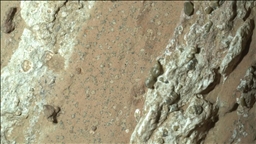 NASA: Mars'ta bulunan leopar benekli kaya, gezegendeki en net yaşam belirtisi olabilir
