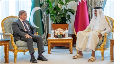 أمير قطر ورئيس وزراء باكستان يبحثان مستجدات الأوضاع الإقليمية والدولية