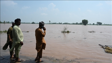 From jackals to dolphins, Pakistan’s wildlife reels under deadly floods