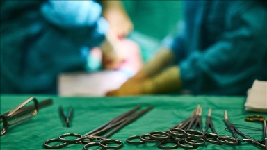 Probe finds Australian university collected body parts for 25 years without consent