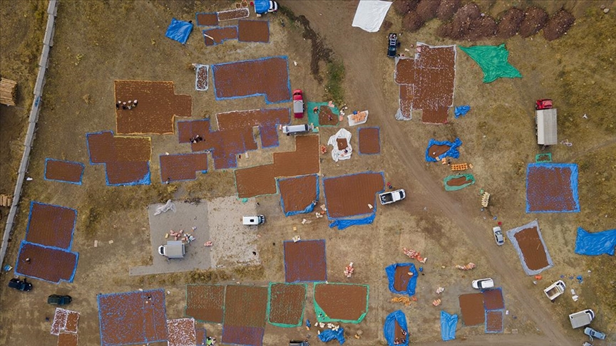 Giresunlu fındık üreticileri kurutma için Şebinkarahisar'ı tercih ediyor