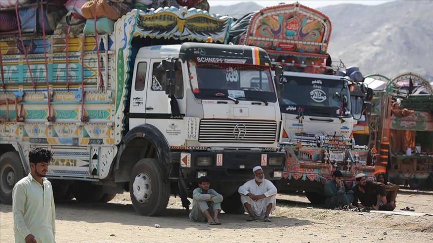 ООН: с начала года из соседних стран вернулись почти 2,6 млн афганцев