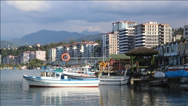 Karadenizli balıkçıların tezgahlarında yeni sezonda en çok istavrit yer alıyor