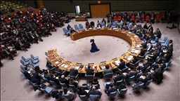 Israel 'totally exposed' over occupation, violations, says Pakistan at UN Security Council