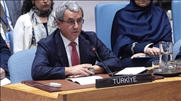 OIC calls on UN Security Council to 'take firm measures' against Israel after attack on Qatar