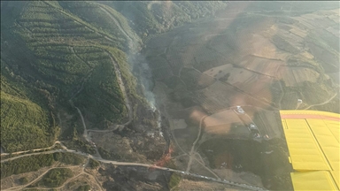 Bursa'da çıkan orman yangını kontrol altına alındı