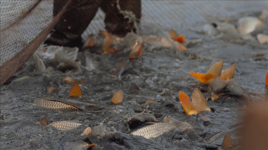 WTO fisheries subsidies deal enters into force, hailed as landmark for sustainability