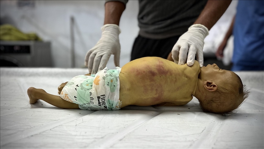 Vdesin nga uria 3 palestinezë të tjerë në Gaza në 24 orët fundit
