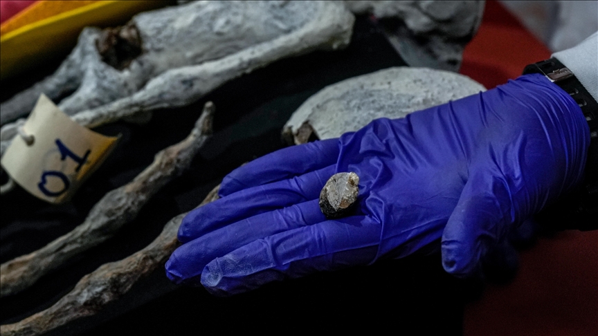 World's oldest known mummies discovered in Southeast Asia: Study