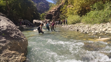 Siruşthez meşiyan Geliyê Zoreyê