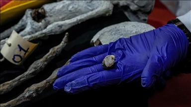 World's oldest known mummies discovered in Southeast Asia: Study