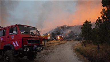 Blazes subside, questions mount: Europe’s wildfire response under scrutiny