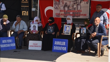 Malbatên Mûşî çalakiya xwe ya li pêşiya DEM Partiyê domand