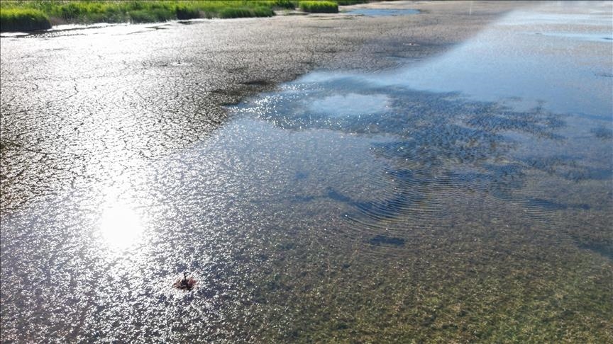 Global water crisis deepens as floods, droughts intensify: WMO Report