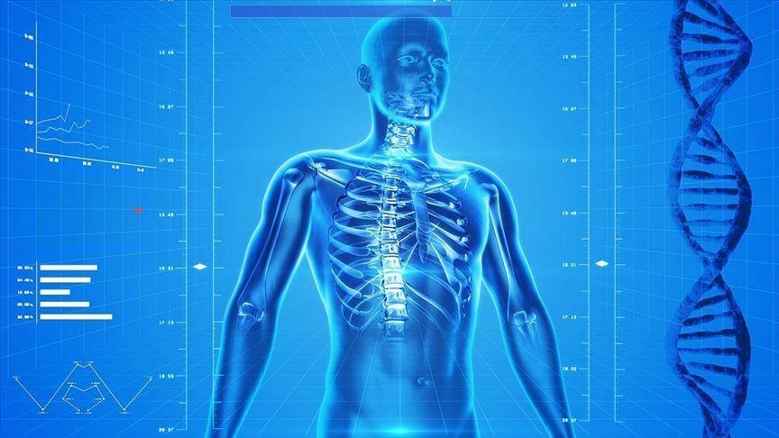 New AI tool predicts risk of over 1,000 diseases in advance: Report