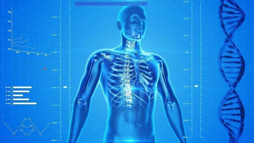 Studim: Vegla e re e inteligjencës artificiale parashikon rrezikun e mbi 1.000 sëmundjeve përpara kohe