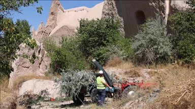 Kapadokya'daki vadilerde doğal dokuya uyumlu çevre düzenleme çalışması başlatıldı