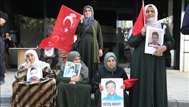 Malbatên Wanî çalakiya xwe ya li ber Serokatiya DEM Partiyê ya Parêzgehê domand