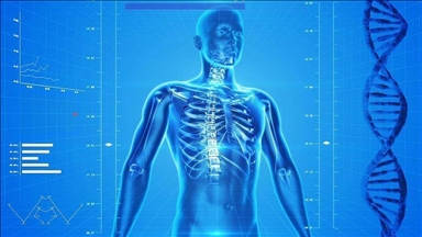 Studim: Vegla e re e inteligjencës artificiale parashikon rrezikun e mbi 1.000 sëmundjeve përpara kohe