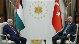 Президент Эрдоган: на Генеральной Ассамблее ООН от имени Палестины будет выступать Турция