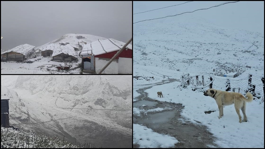 Rize, Artvin ve Ardahan'da yüksek kesimlere kar yağdı