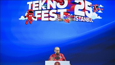Türkiye's air defense system Steel Dome is historic milestone, President Erdogan says