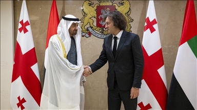 محمد بن زايد ورئيس وزراء جورجيا يبحثان تعزيز التعاون الاقتصادي