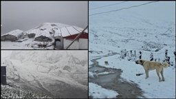 Rize, Artvin ve Ardahan'da yüksek kesimlere kar yağdı