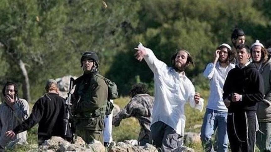 الضفة.. مستوطنون يعتدون على فلسطينيين ويسرقون ممتلكاتهم