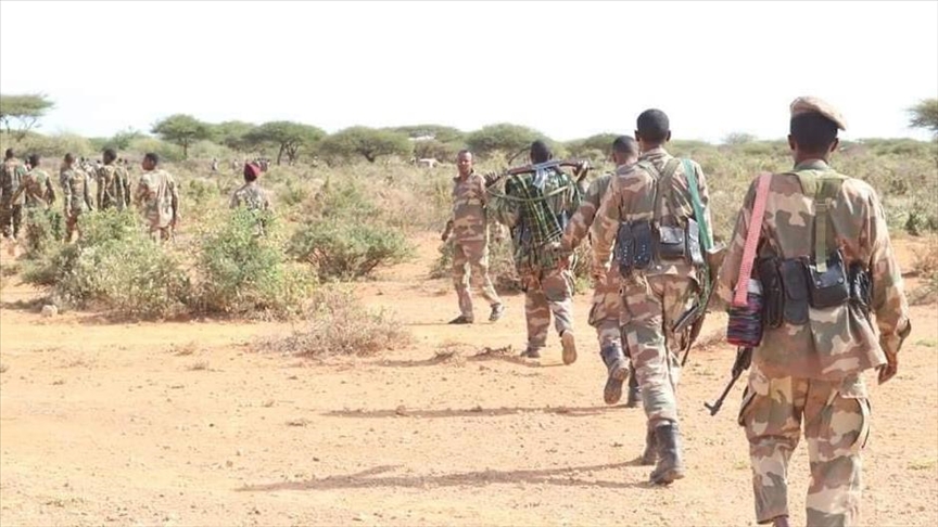 Somali army kills 4 al-Shabaab terrorists in coordinated operation