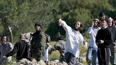 الضفة.. مستوطنون يعتدون على فلسطينيين ويسرقون ممتلكاتهم