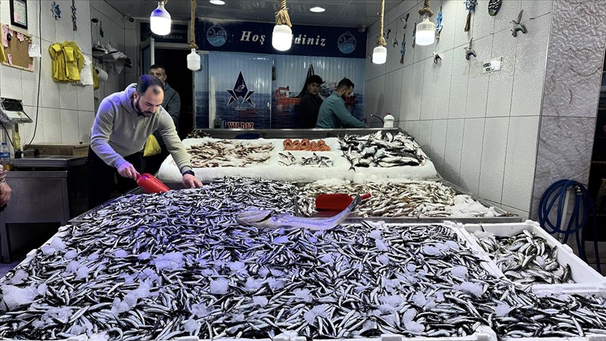 Hamsi avcılığı hem balıkçıyı hem tüketiciyi memnun etmeyi sürdürüyor