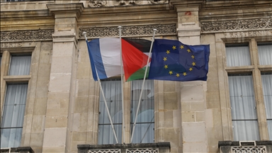 Palestinian flag raised at 21 town halls across France despite ban