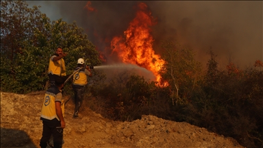 Syria battles forest fires in Latakia countryside