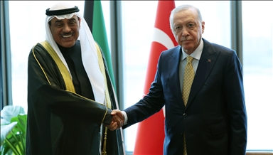 Turkish President Erdogan stresses significance of Muslim world taking united stance against Israel
