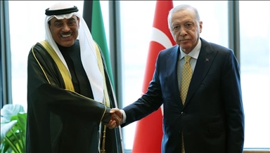 Erdogan: Muslimanske zemlje moraju biti ujedinjene protiv Izraela