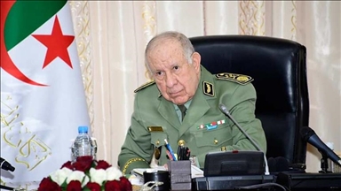 الجزائر وروسيا تبحثان تعزيز التعاون العسكري