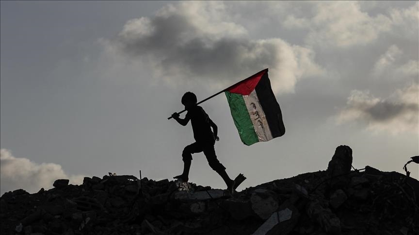 More nations recognizing Palestine fully demonstrates int’l community’s expectations: China