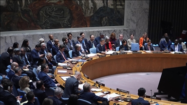 Muslim bloc’s Kashmir group meets at UN, welcomes Indo-Pak ceasefire