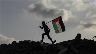 More nations recognizing Palestine fully demonstrates int’l community’s expectations: China
