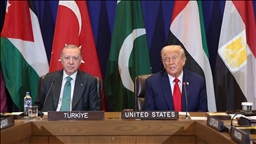 Президенты Турции и США приняли участие во встрече по Газе