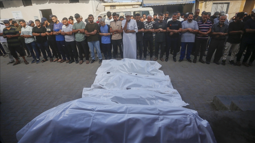 Israel's genocidal war: Names of Gaza victims read aloud in Netherlands for 50 days